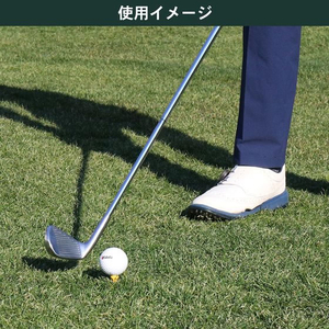 タバタ プラスリム ショートティー FCE358S-GV0479-イメージ4