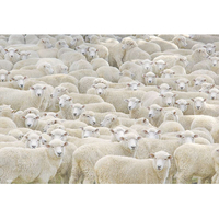 ビバリー 眠くなるパズル BVM81627ﾈﾑｸﾅﾙﾊﾟｽﾞﾙ