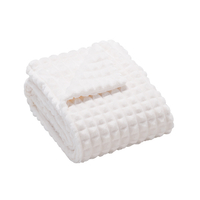 広電 電気しき毛布 オフホワイト／無地 CWA401GWM