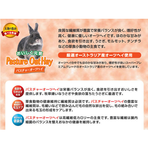 ハイペット パスチャー オーツヘイ 400g FC269RJ-イメージ2