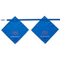 モルテン フラッグフットボール用フラッグ サックス FCE900S-XA0060C