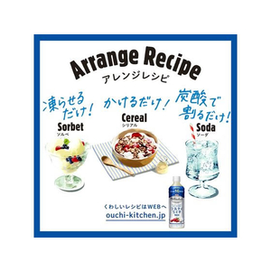 キリンビバレッジ 世界のKitchenから ソルティライチベース 500mL FC286RG-イメージ4