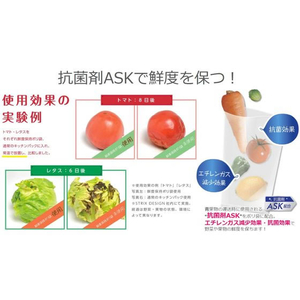 ストリックスデザイン 鮮度保持ポリ袋 Lサイズ 40枚 F038650-SA-097-イメージ6
