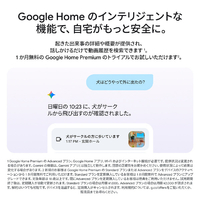 Google GA09973-JP Google Nest Cam Indoor(電源アダプター式 / 第 3