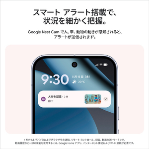 Google Google Nest Cam Indoor(電源アダプター式 / 第 3 世代) Snow GA09973-JP-イメージ5