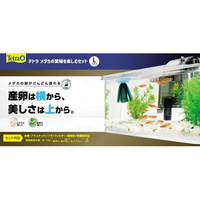 スペクトラムブランズジャパン テトラ メダカの繁殖を楽しむセット L FCT5516