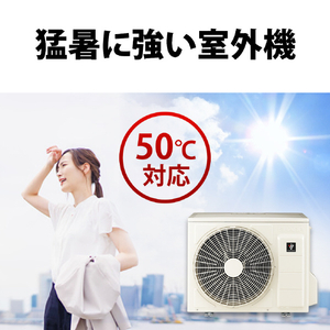 シャープ 「工事代金別」 14畳向け 自動お掃除付き 冷暖房エアコン e angle select プラズマクラスターエアコン  VE5シリーズ Vシリーズ AY-40TVE5S-イメージ8
