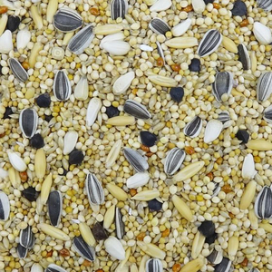 ナチュラルペット エクセル5 中型インコ 皮付き 450g FC434RW-イメージ2