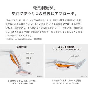 MTG SIXPAD フットフィット3 ヒート / Foot Fit 3 Heat SE-BY-02A-イメージ7