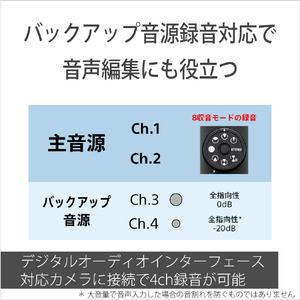 SONY ショットガンマイクロホン ECM-M1-イメージ5