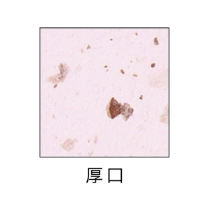 ヒサゴ サステナブルクラッポ あずき 厚口 FC965NZ-FSCSC06S-イメージ2