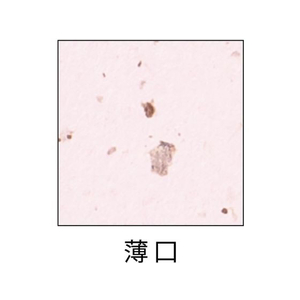 ヒサゴ サステナブルクラッポ あずき 薄口 FC966NZ-FSCSC07S-イメージ2
