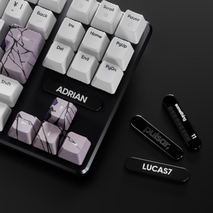 Pulsar Pro Series PCMK 3 HE TKL Something Gaming Keyboard JIS PCMK3HE814-イメージ5