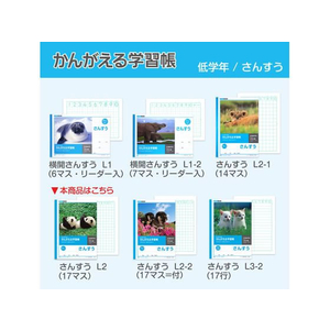キョクトウ かんがえる学習帳 B5 さんすう 17マス 12mm 1～4年生17マス-1冊 F887858-L2-イメージ6