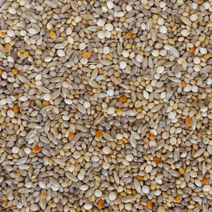ナチュラルペット エクセル おいしい小鳥の食事皮付き 900g FC438RW-イメージ2