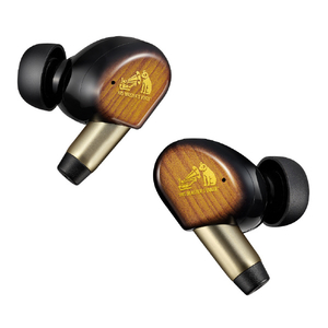 ビクター ワイヤレスイヤホン サンバーストブラウン HA-FW5000T-T ビクター ワイヤレスイヤホン サンバーストブラウン HA-FW5000T-T