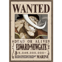 エンスカイ ワンピース アｰト208-109 懸賞金50億4600万ベリｰ 208ピース AT208109OPｹﾝｼﾖｳｷﾝｼﾛﾋｹﾞ