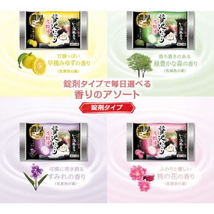白元アース いい湯旅立ち 贅沢にごり炭酸湯 32錠入 FCS8153-イメージ4