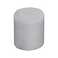 アルケア ハイスパン・A(2号)アルケア 11631(10カンイリ) FCG006T-11631