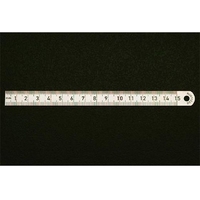 エスコ 直尺 ステンレス製 200×13mm FCZ5660-EA720YA-20