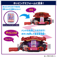 バンダイ DXｺﾞﾁｿﾞｳｾﾂﾄｼﾝｼﾕVER01 DXライダーゴチゾウセット 新種発見