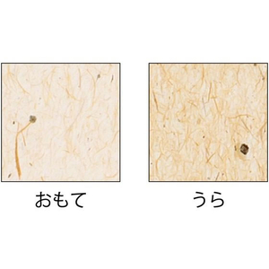 ヒサゴ サステナブルクラッポ パームヤシ FC971NZ-SC02S-イメージ2