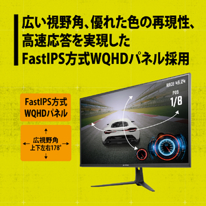 プリンストン ULTRA PLUS FastIPS方式パネル採用 27型 ハイリフレッシュレートWQHD液晶ディスプレイ ブラック UP-P27Q180-イメージ4