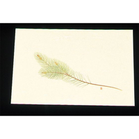 アーテック 尺三 懐石まっと クリーム 100枚 WSS-2 松 FC824LW-7959600