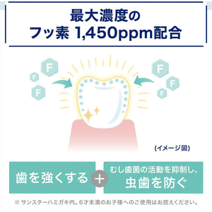 サンスター オーラツーミー トラベルセット ソフトケース FCJ631P-イメージ5