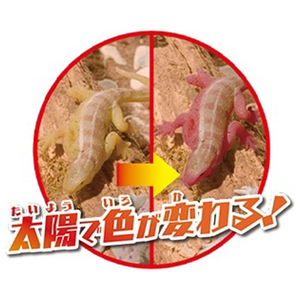 デアゴスティーニ イグアナ&Co． ミニ ｲｸﾞｱﾅｱﾝﾄﾞｺﾐﾆ-イメージ3