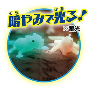 デアゴスティーニ イグアナ&Co． ミニ ｲｸﾞｱﾅｱﾝﾄﾞｺﾐﾆ-イメージ4