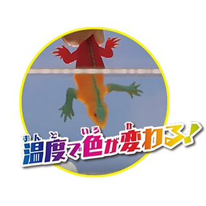 デアゴスティーニ イグアナ&Co． ミニ ｲｸﾞｱﾅｱﾝﾄﾞｺﾐﾆ-イメージ5