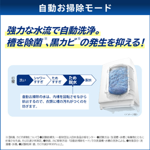 東芝 12．0kgインバーター全自動洗濯機 ZABOON ボルドーブラウン AW-12DP4(T)-イメージ12