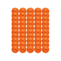 ダイアデム パワーピックルボール 50個 インドア用 FCD558L-TPB008-028