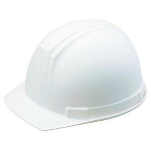 タニザワ FC999VA-1463687 ヘルメット ST#0169-EZ アメリカンタイプ 溝