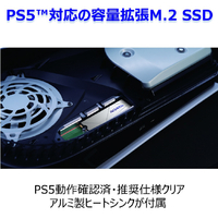 ★新品未開封★PS5対応、超高性能SSD A−DATA APSFG-1TCS