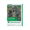 キョクトウ かんがえる学習帳 かんじれんしゅう 104字詰 2～5年生104字1冊 F887870-L418