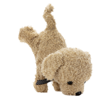 セガフェイブ ココさかだちして アプリコット ｺｺｻｶﾀﾞﾁｼﾃｱﾌﾟﾘｺﾂﾄ