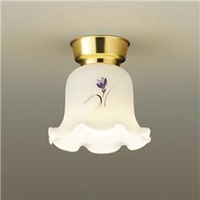 ダイコウデンキ LED小型シーリングライト DXL81112