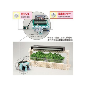 アーテック ロボット用温度センサー FCS2956-86846-イメージ3