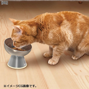 ドギーマン ステンレスのテーブル食器 猫用 FCJ194K-イメージ2