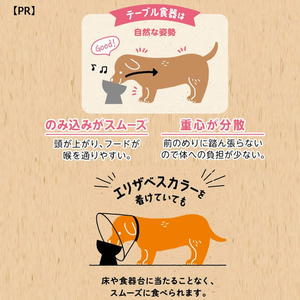 ドギーマン ステンレスのテーブル食器 猫用 FCJ194K-イメージ4