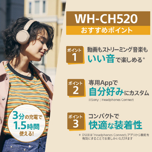 SONY ワイヤレスステレオヘッドセット イエロー WHCH520Y-イメージ4