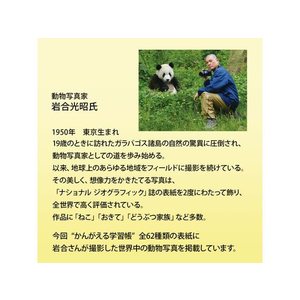 キョクトウ かんがえる学習帳 漢字練習 200字詰 4～6年生200字1冊 F887873-L414-イメージ7