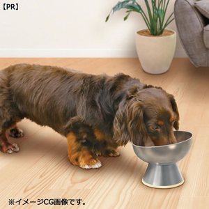 ドギーマン ステンレスのテーブル食器 犬用 M FCJ196K-イメージ2