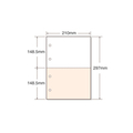 キング商事 マルチプリンタ帳票 A4 カラー 2面 4穴 100枚 F815574-A4CF2-4A
