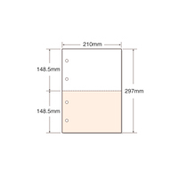 キング商事 マルチプリンタ帳票 A4 カラー 2面 4穴 100枚 F815574-A4CF2-4A