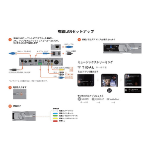 iFI Audio NEO Stream NEOSTREAM-イメージ20