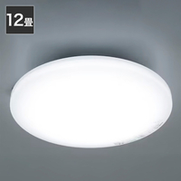 ニトリ LEDシｰリングライト NS006 12JDC ホワイト LEDｼ-ﾘﾝｸﾞﾗｲﾄ NS006 12JDC