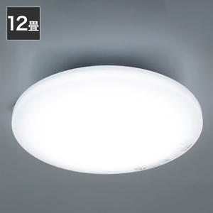ニトリ LEDシーリングライト NS006 12JDC ホワイト LEDシ-リングライト NS006 12JDC ニトリ LEDシーリングライト NS006 12JDC ホワイト LEDシ-リングライト NS006 12JDC